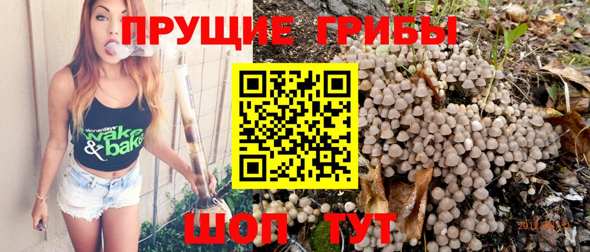 Псилоцибиновые грибы ЛСД Кизилюрт